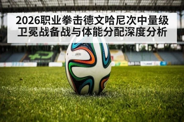 2026职业拳击德文哈尼次中量级卫冕战备战与体能分配深度分析